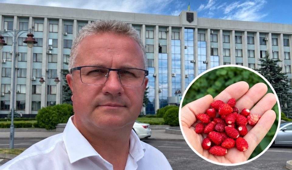 Депутат Рівненської облради продемонстрував збір суниць з власної грядки у вересні