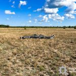 На Рівненщині вибухотехніки ліквідували два ворожі безпілотники з бойовими зарядами