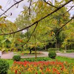 На Рівненщині зберігається тепла погода бабиного літа