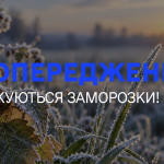 На Рівненщині прогнозують заморозки до мінус 3 градусів