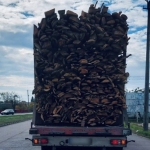 На Рівненщині затримали водія вантажівки, який перевозив деревину з порушеннями