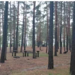 У Дубенському районі усунули забруднення двох земельних ділянок