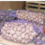 У Повчанській громаді розпочали збір овочів для підтримки Дубенської лікарні