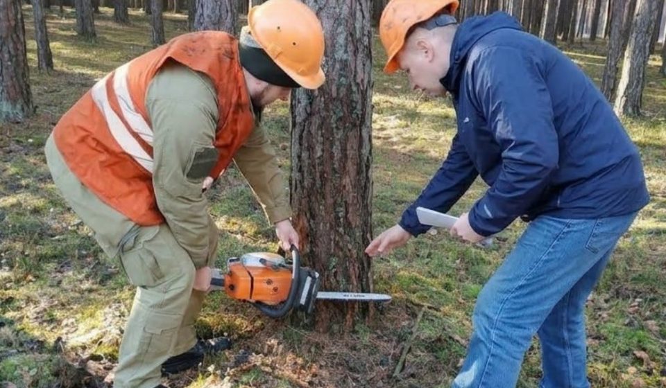 У Рівненській області майстер лісу отримав травму від обірваної гілки дерева