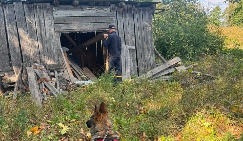 У Вараському районі шукають 78-річного чоловіка